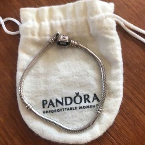 Pandora Charm Braclet
